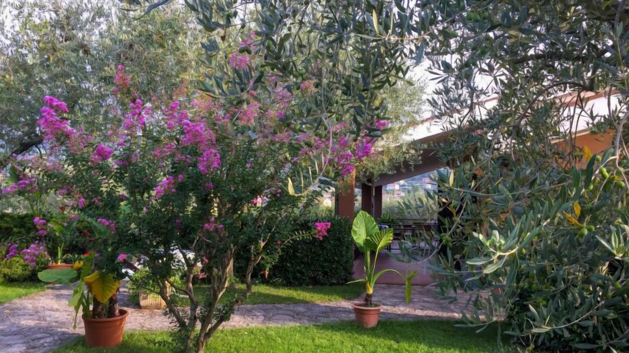 Photo of Outdoor in Garda