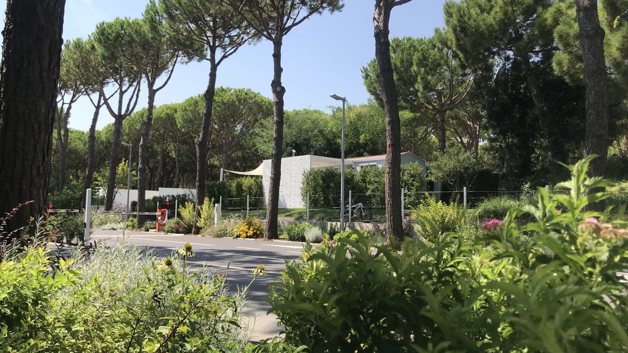 Photo of Outdoor in Lido degli Scacchi