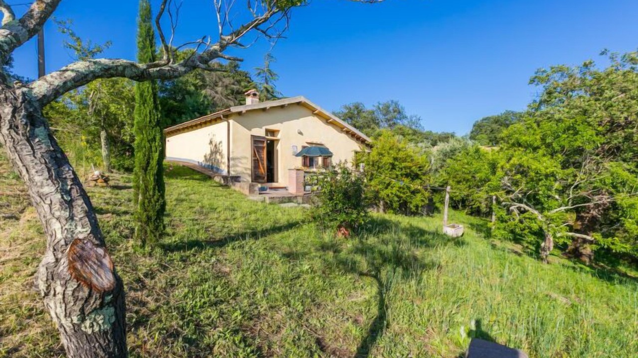 Photo of Outdoor in Scansano