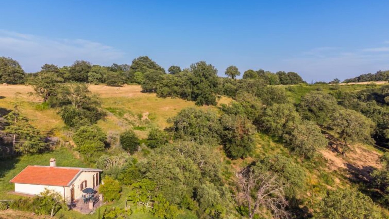 Photo of Outdoor in Scansano