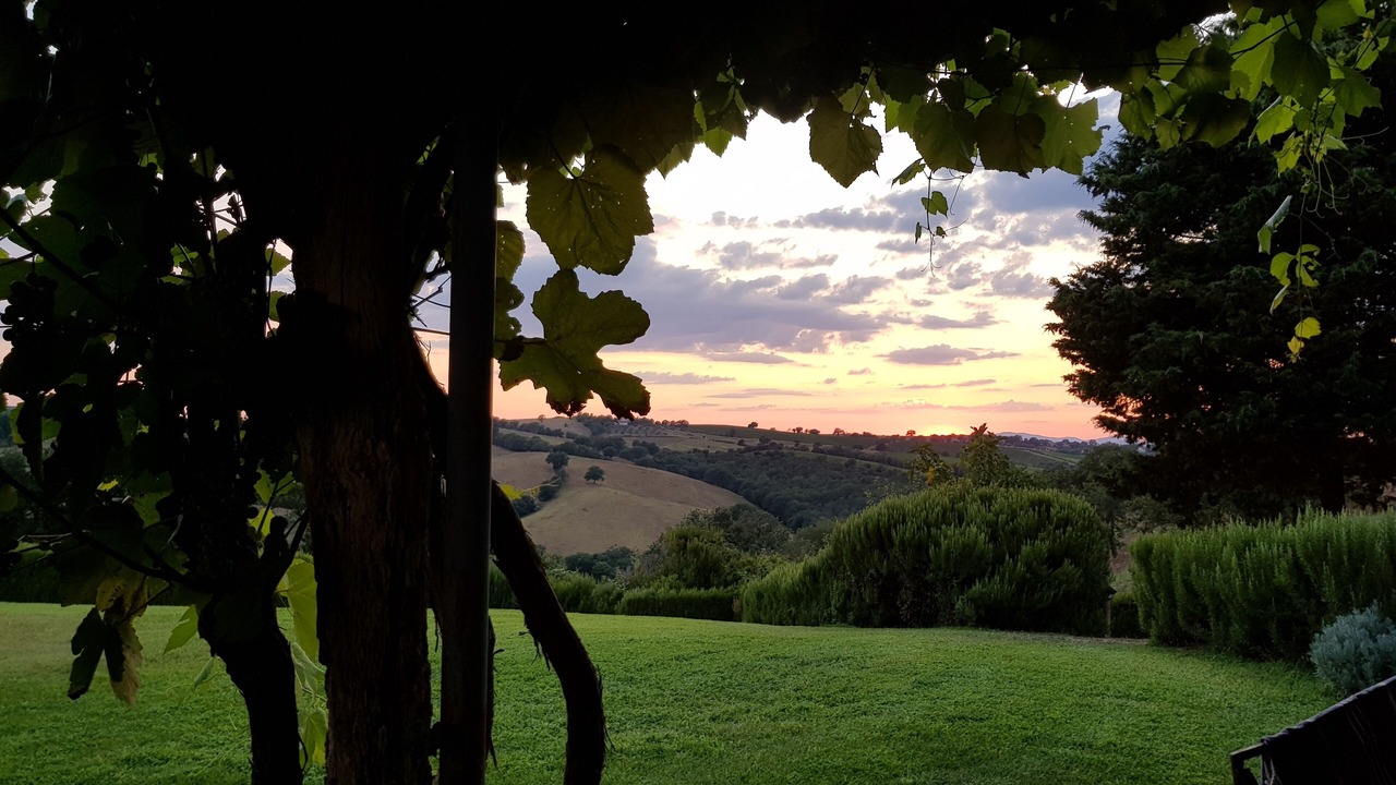 Photo of Outdoor in Magliano in Toscana