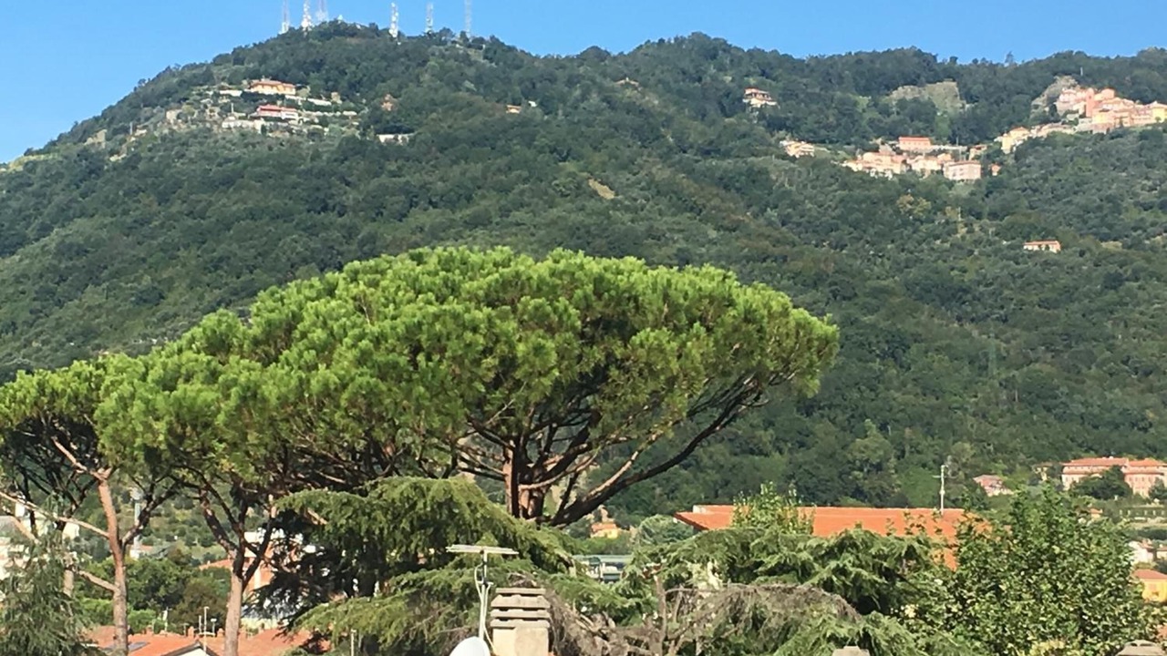 Photo of Outdoor in Carrara