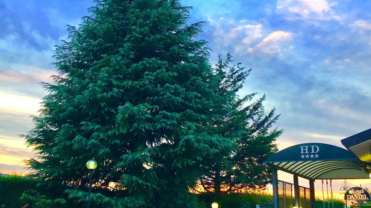 Photo of Outdoor in Basiano