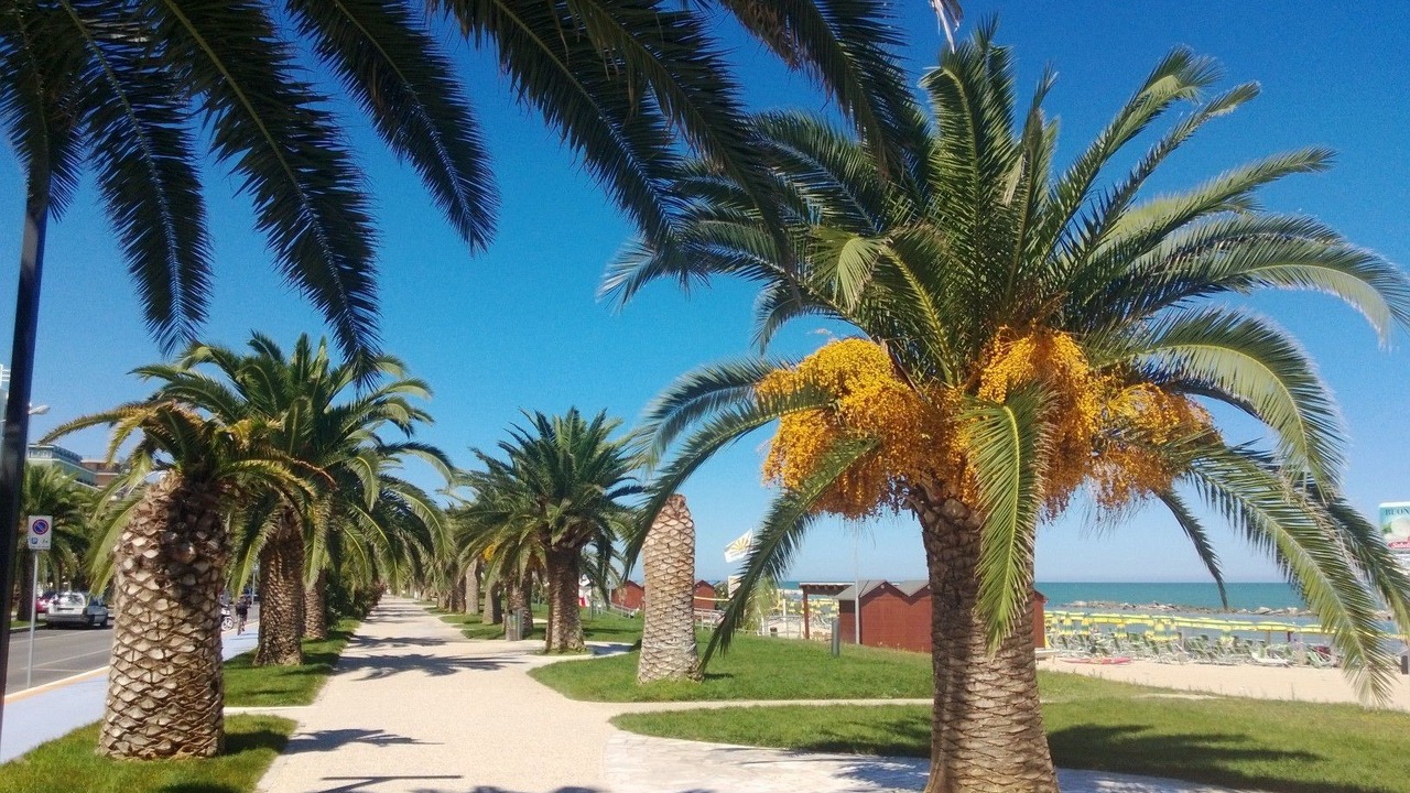 Photo of Others in Grottammare