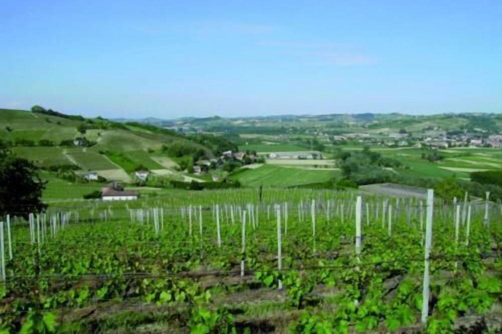 Photo of Outdoor in San Marzano Oliveto