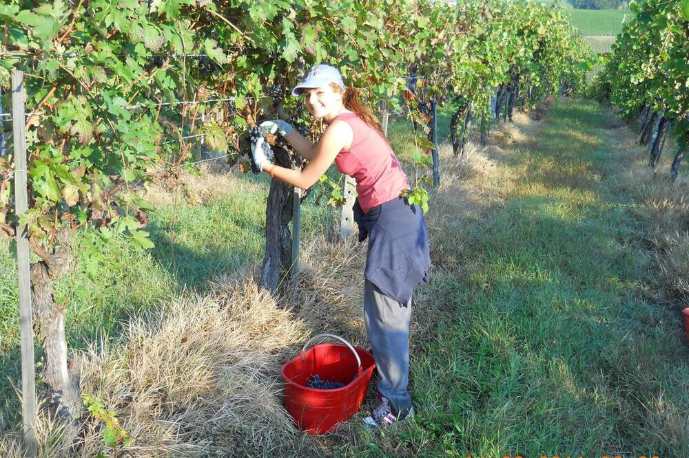 Photo of Others in San Marzano Oliveto