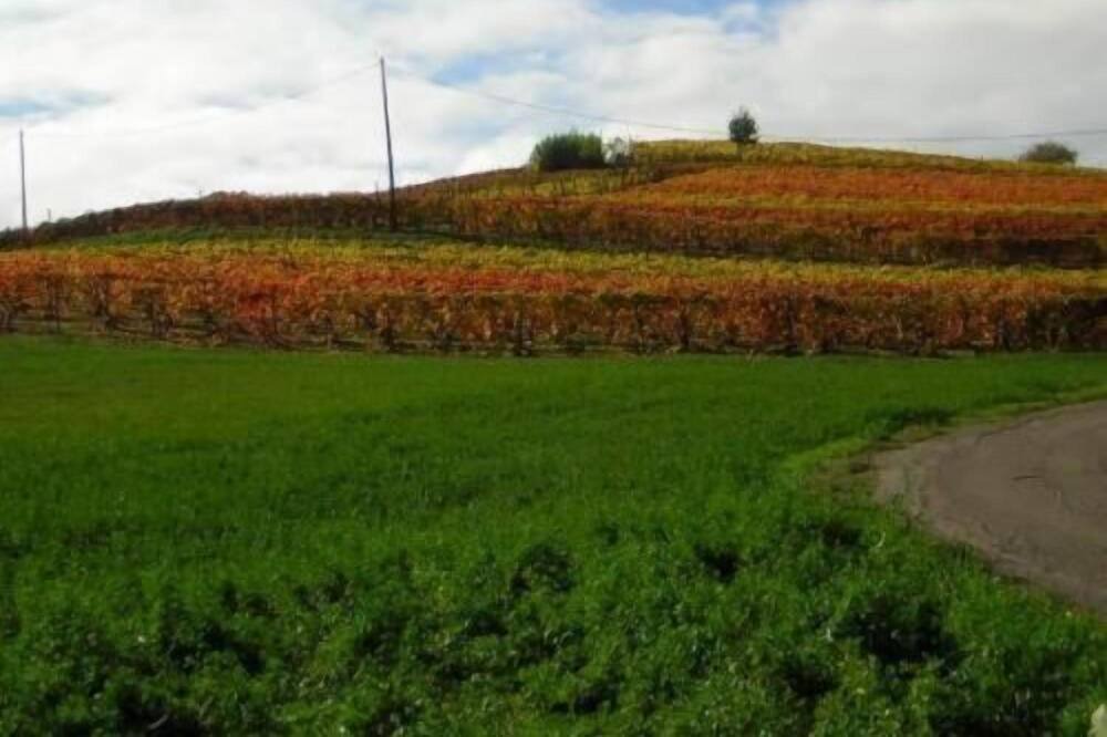 Photo of Outdoor in San Marzano Oliveto