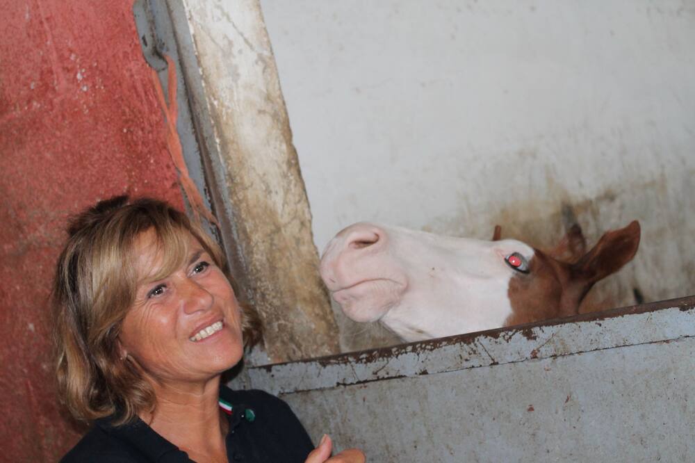Photo of Others in Montoro
