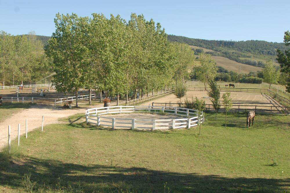 Photo of Outdoor in Montoro