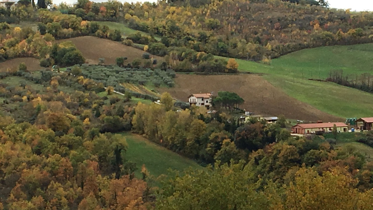 Photo of Outdoor in Montelovesco