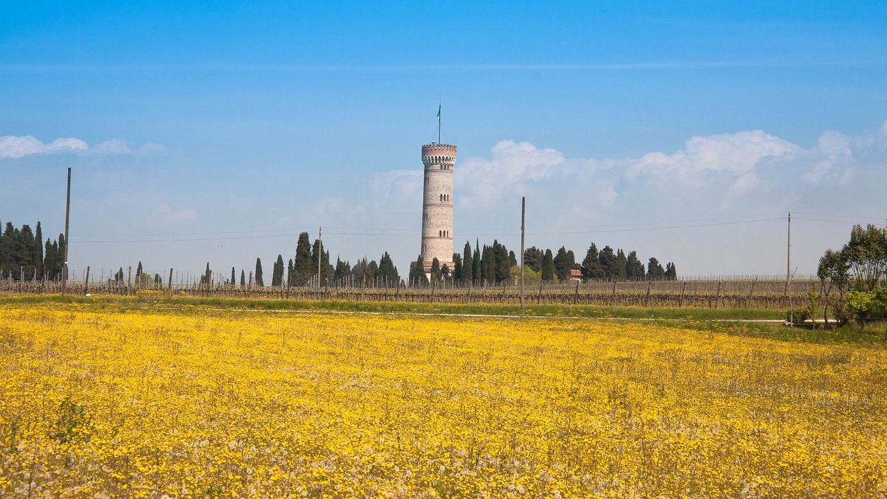 Photo of Others in San Benedetto di Lugana