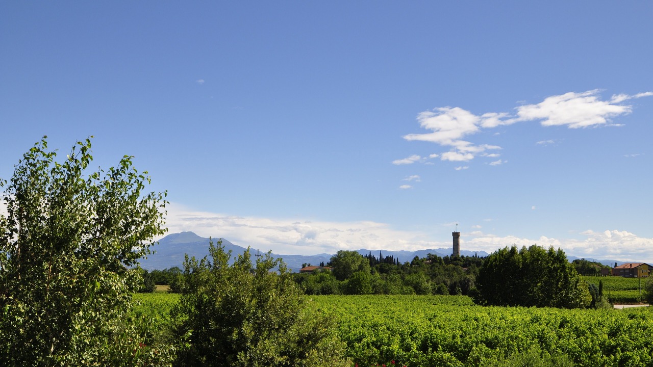 Photo of Outdoor in San Benedetto di Lugana