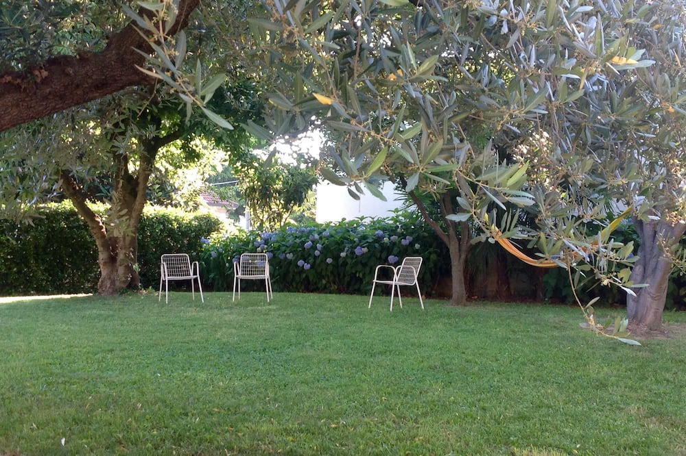 Photo of Outdoor in Anzasco