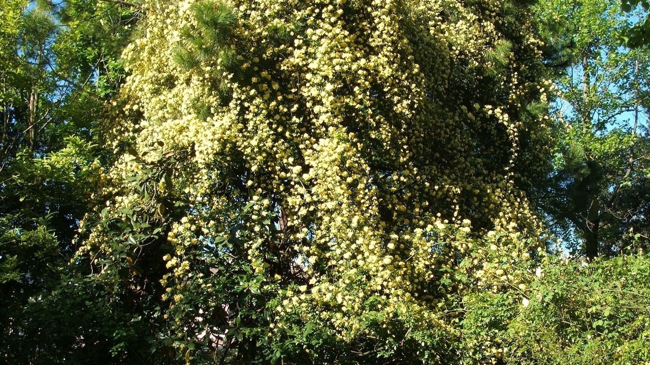 Photo of Outdoor in Stra