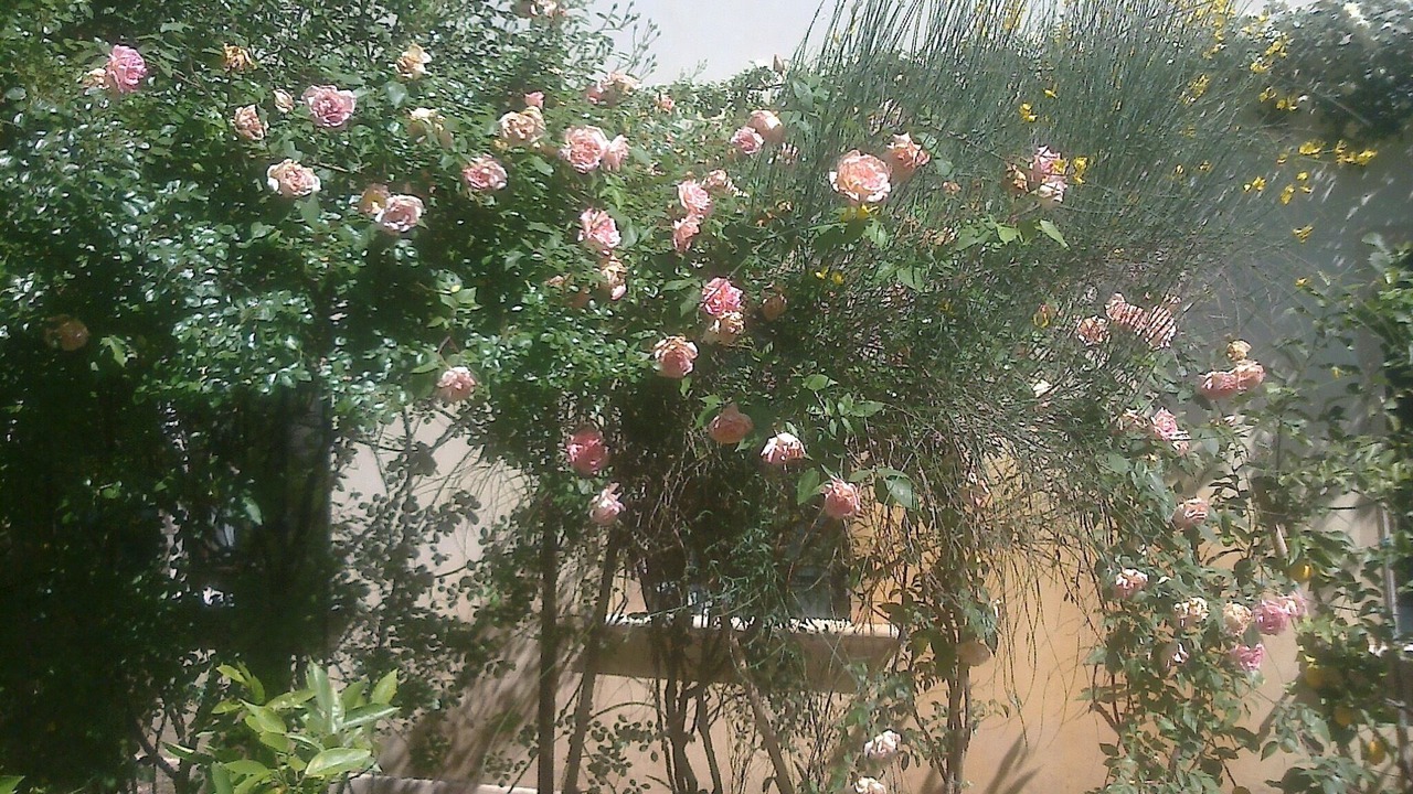 Photo of Outdoor in Stra