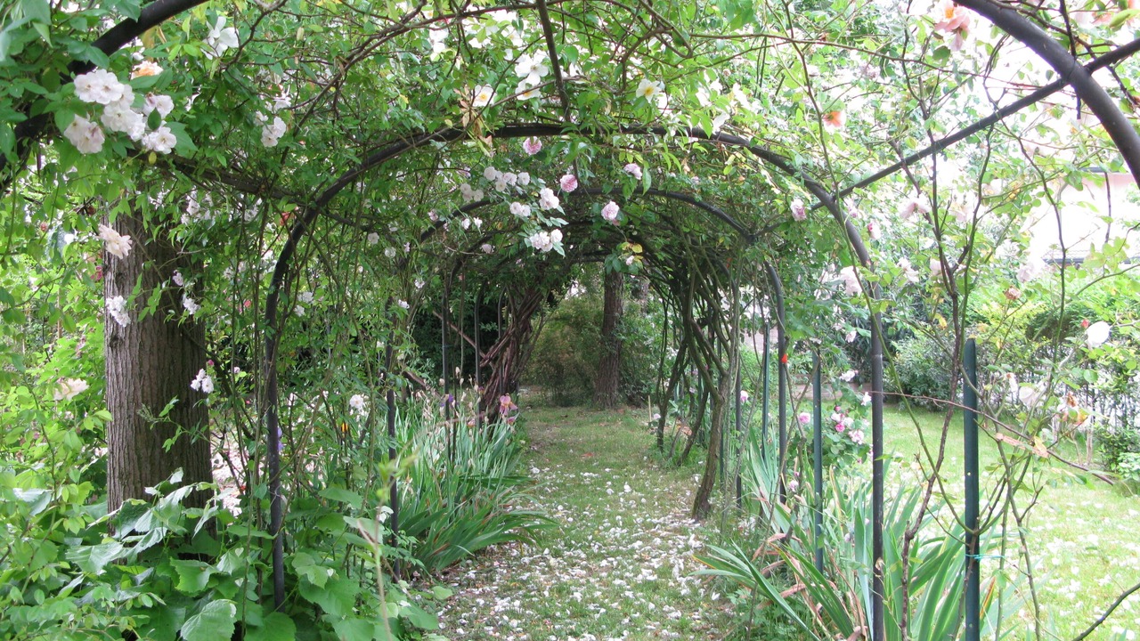 Photo of Outdoor in Stra