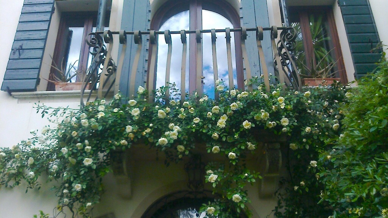 Photo of Outdoor in Stra