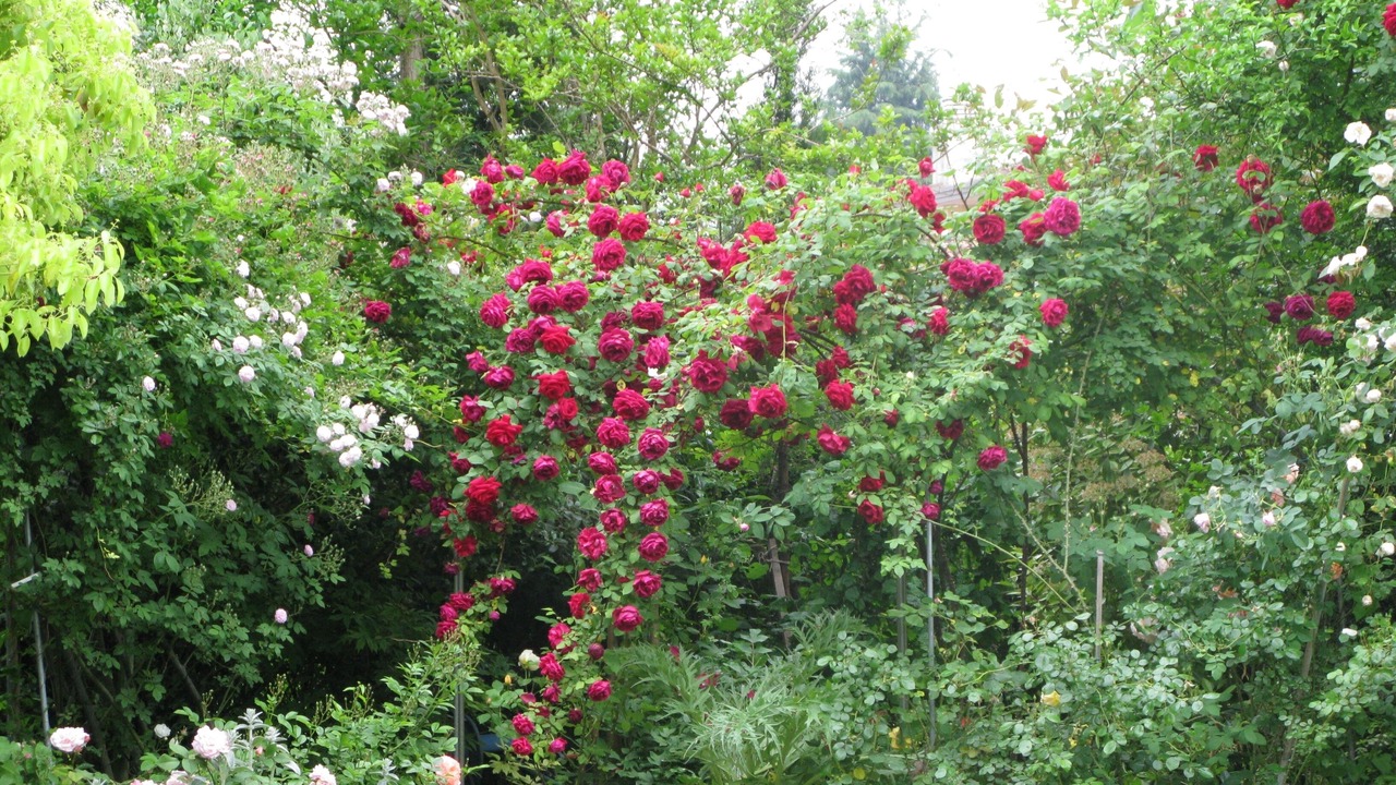 Photo of Outdoor in Stra