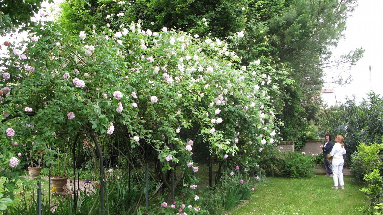 Photo of Outdoor in Stra