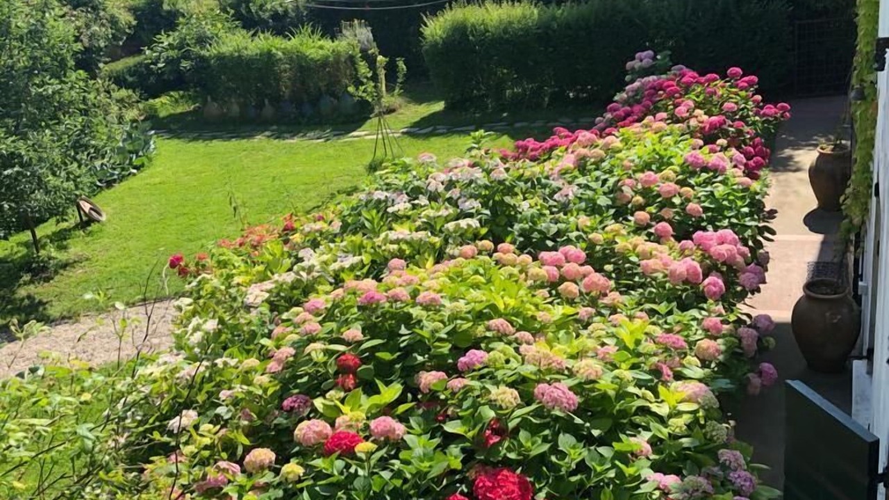 Photo of Outdoor in Stra
