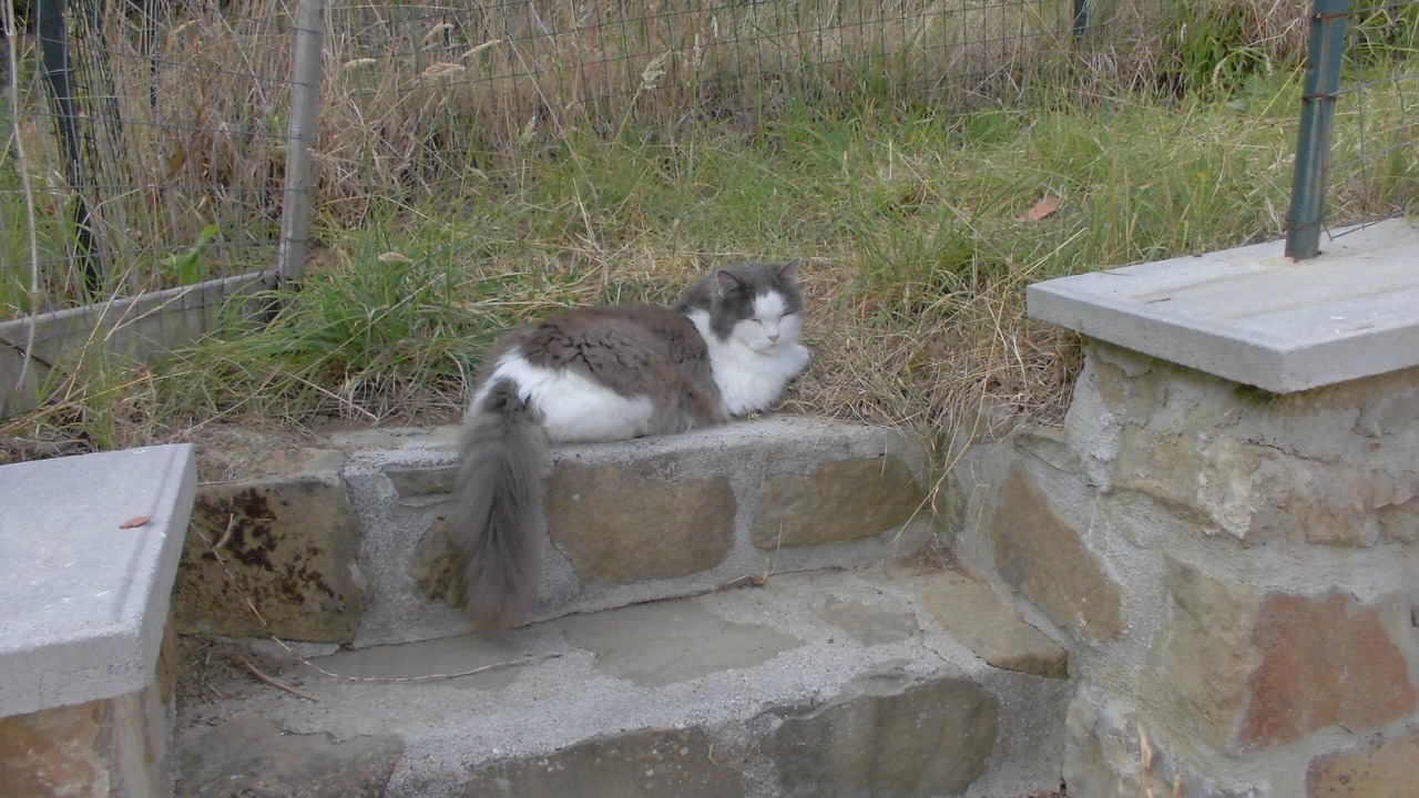 Photo of Outdoor in Bivio Lugnano