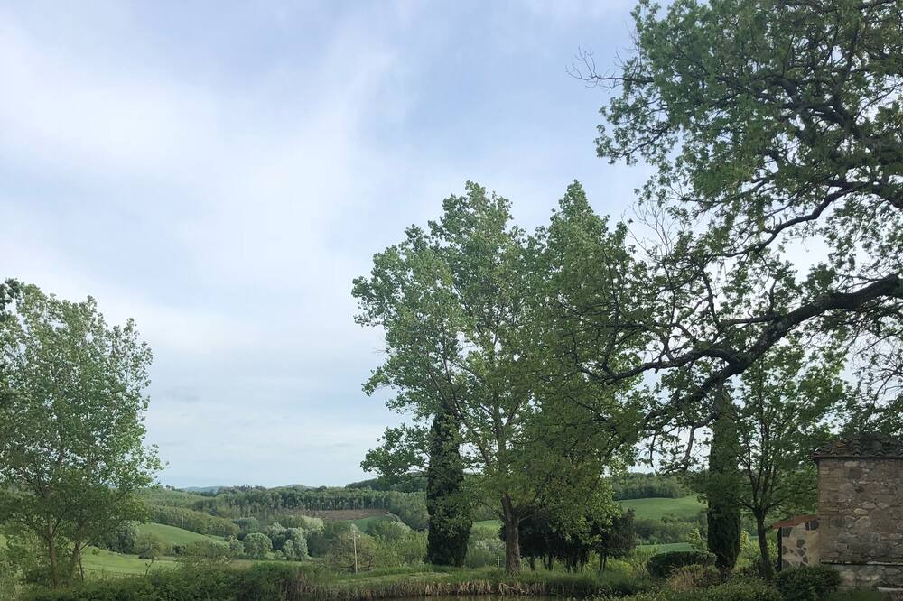 Photo of Outdoor in Chiusdino