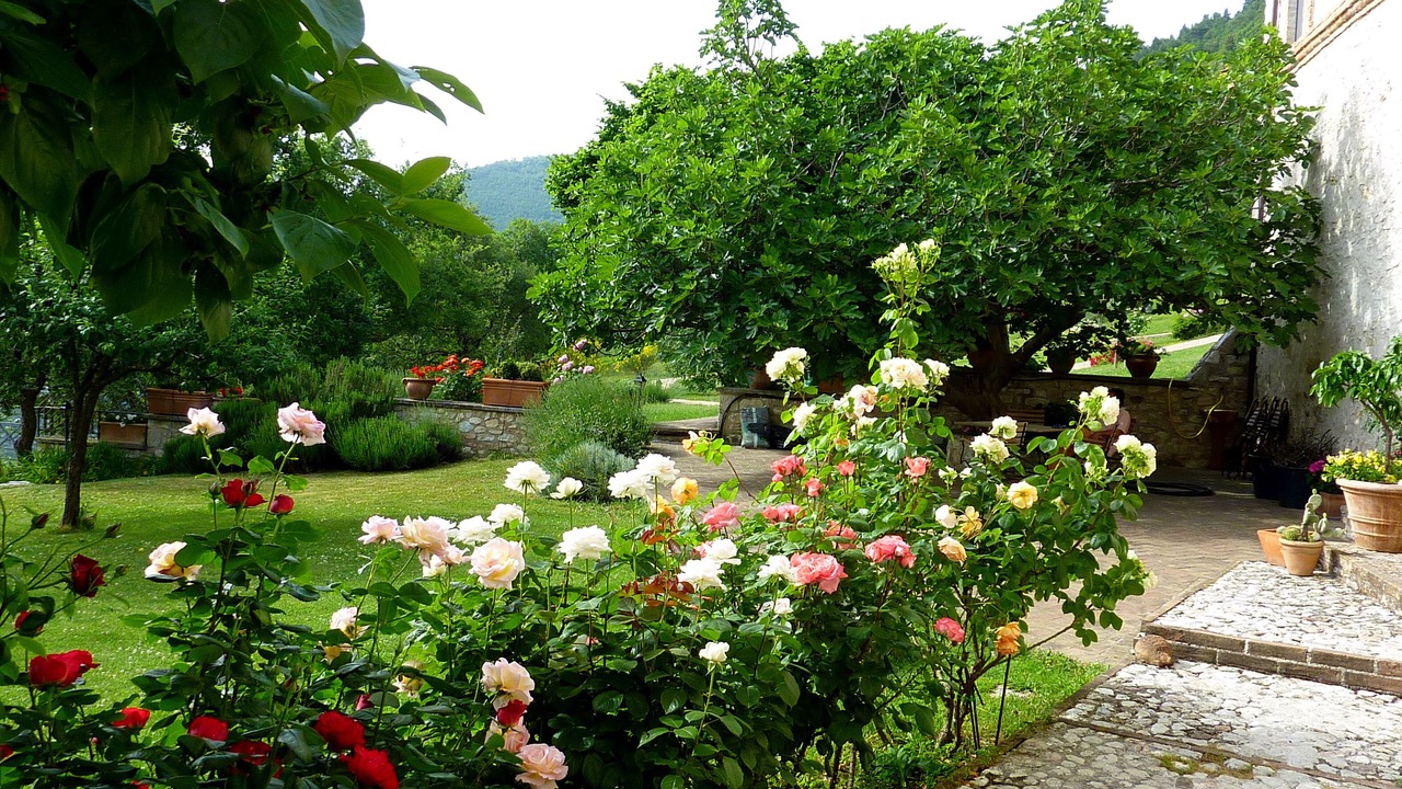 Photo of Outdoor in Bovara