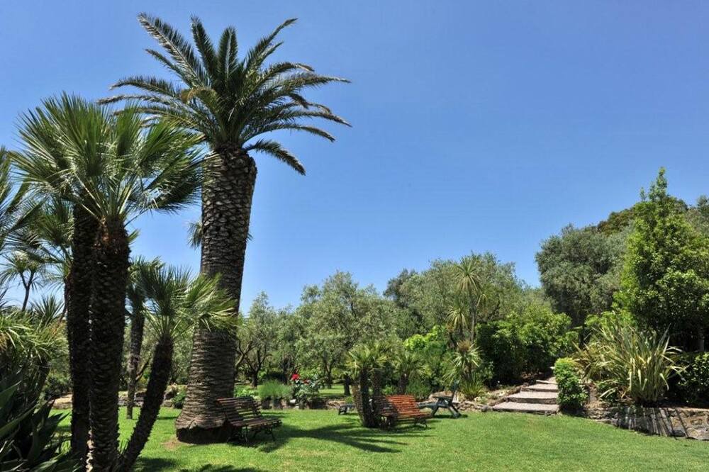 Photo of Outdoor in San Pietro