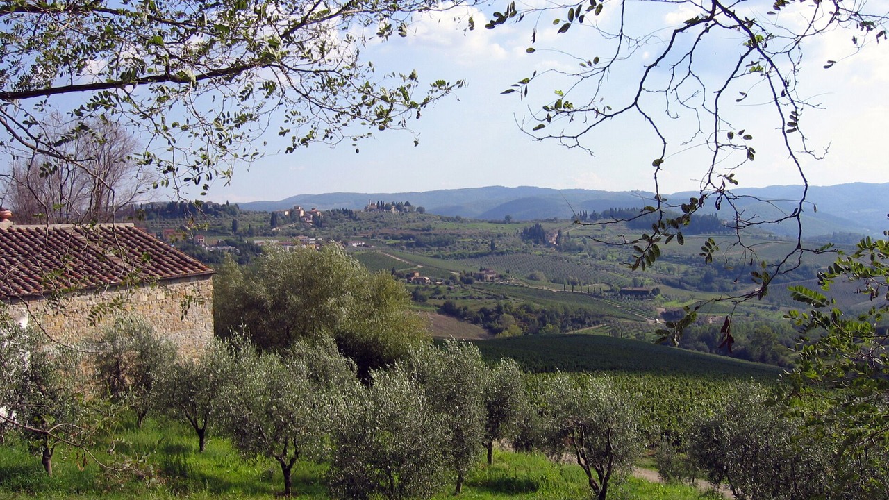 Photo of Outdoor in Diano Evigno