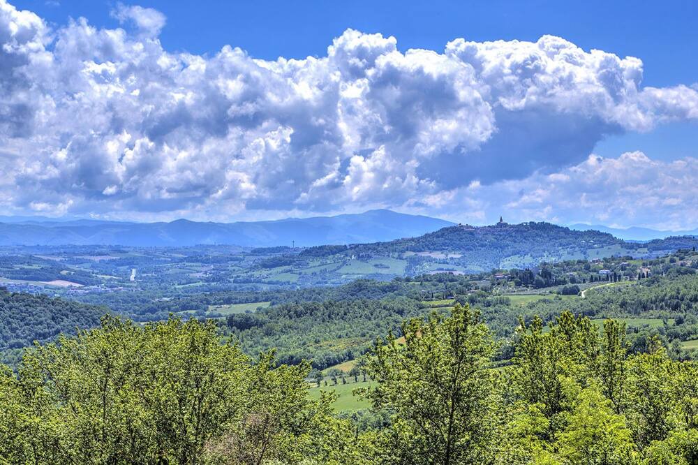 Photo of Others in Monte Castello di Vibio
