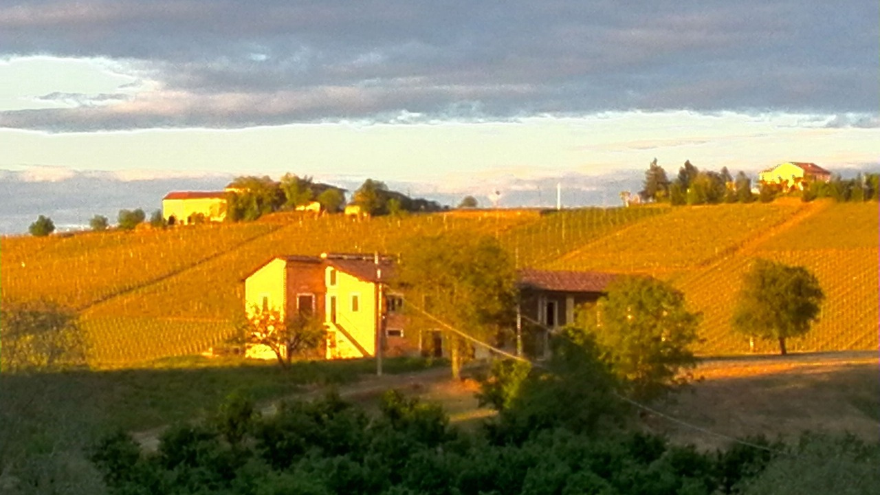 Photo of Outdoor in Nizza Monferrato