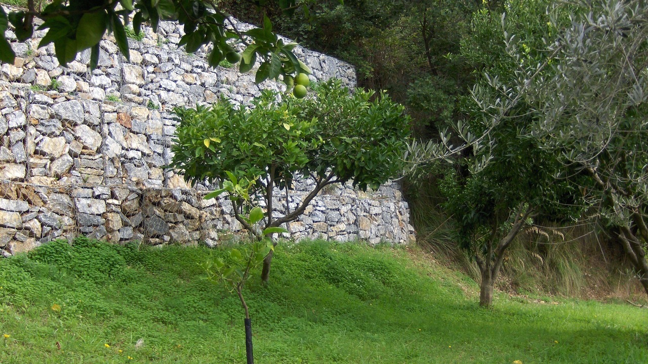 Photo of Outdoor in Belmonte Calabro