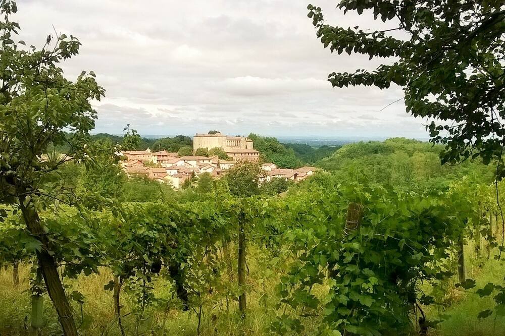 Photo of Outdoor in Tassarolo