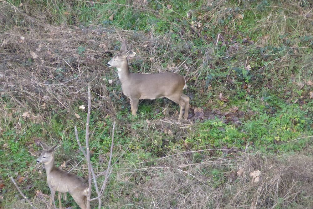 Photo of Outdoor in Tassarolo