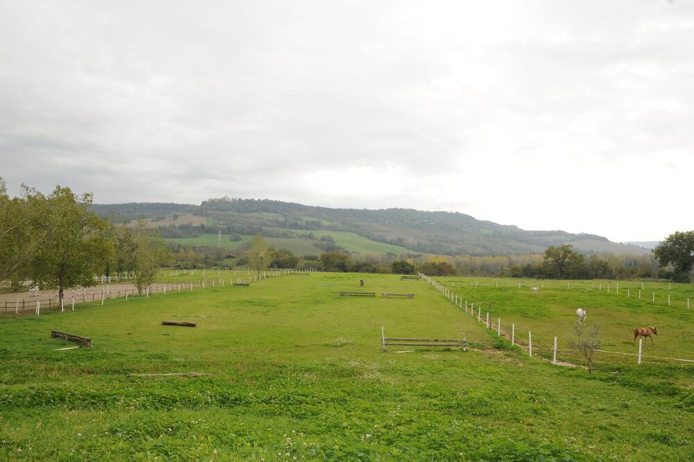 Photo of Outdoor in Montoro