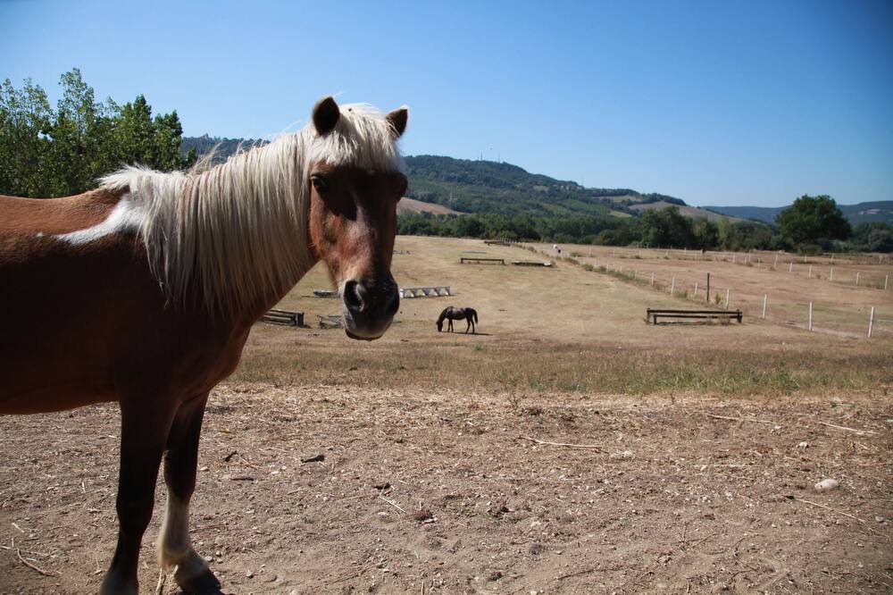 Photo of Others in Montoro