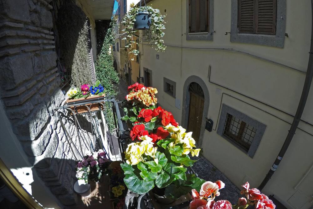 Photo of Others in Castel Gandolfo