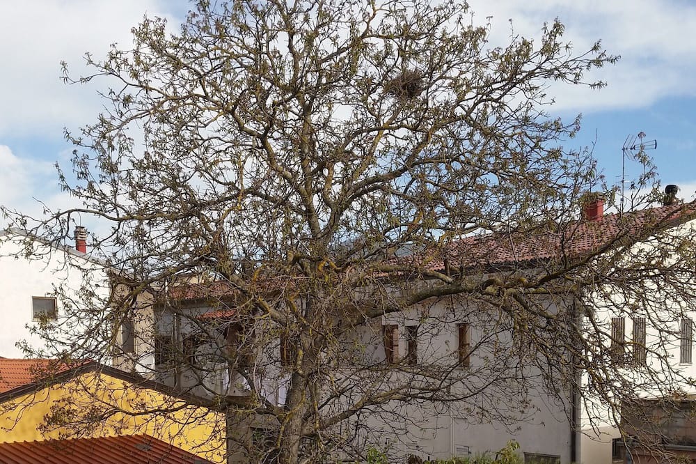 Photo of Outdoor in Atella