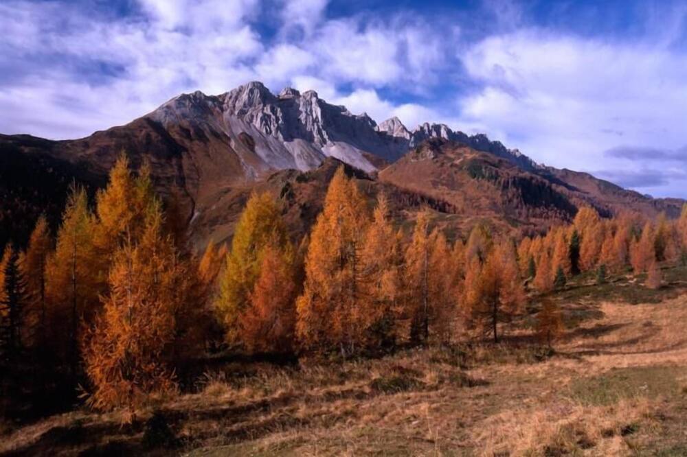 Photo of Outdoor in Sauris