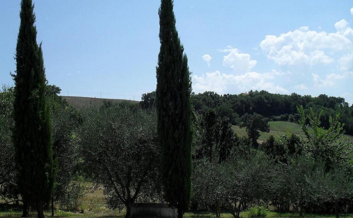 Photo of Outdoor in Arcevia