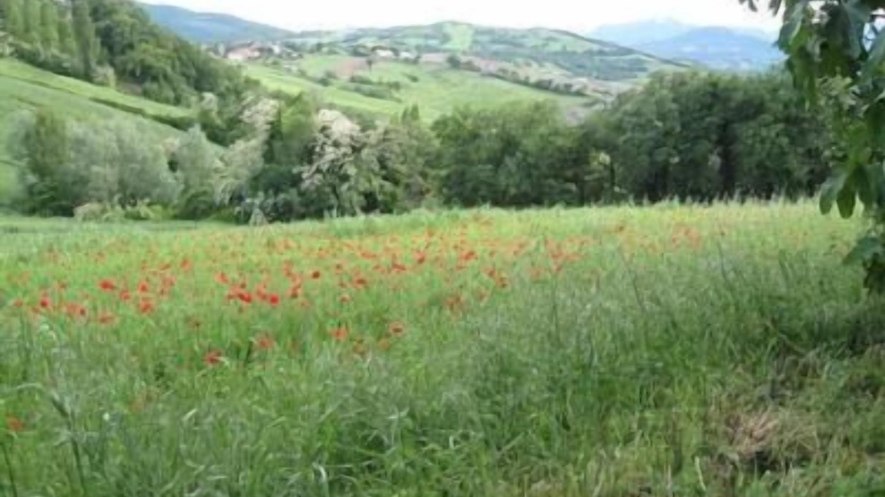 Photo of Outdoor in Arcevia