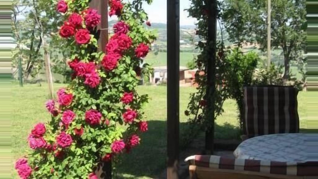 Photo of Outdoor in Arcevia