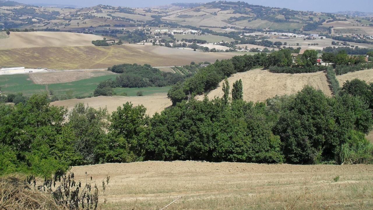 Photo of Others in Arcevia