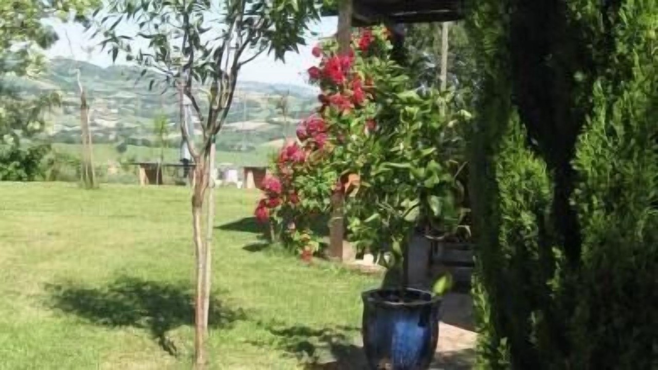 Photo of Outdoor in Arcevia
