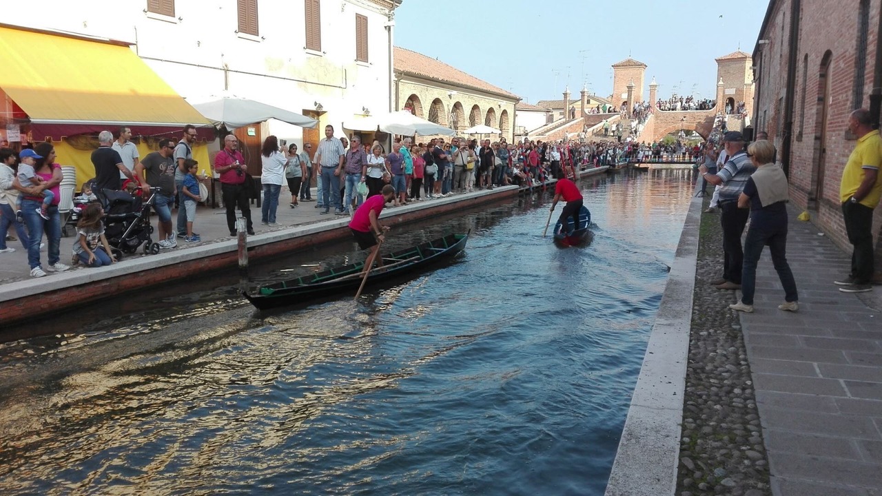 Photo of Outdoor in Lido di Pomposa