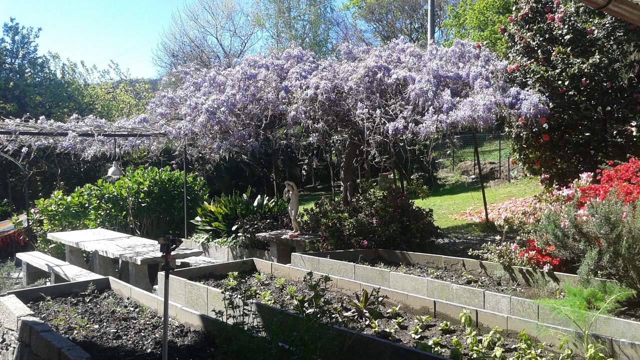 Photo of Outdoor in Nebbiuno