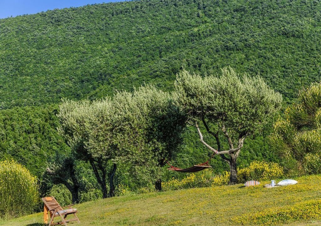 Photo of Others in Pergola