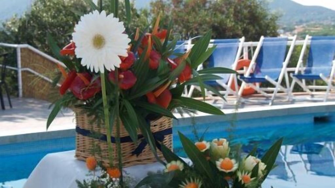 Photo of Outdoor in Bonalaccia-Filetto