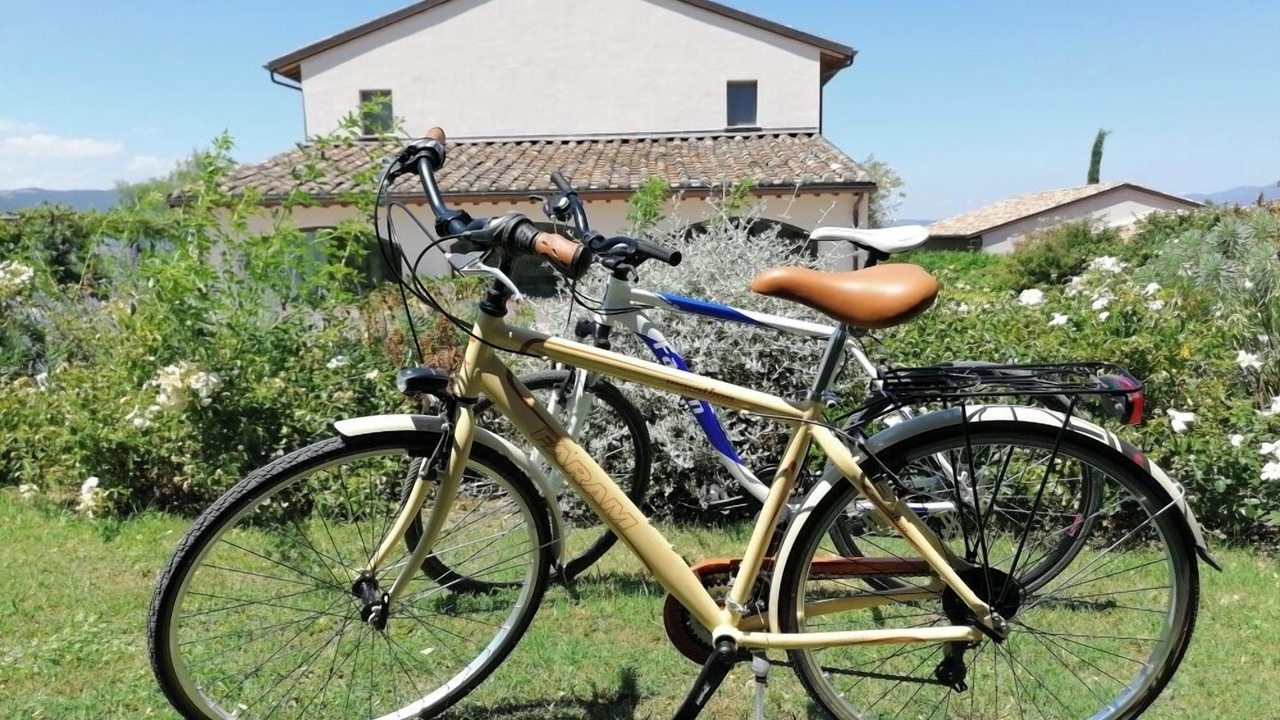 Photo of Outdoor in Narni
