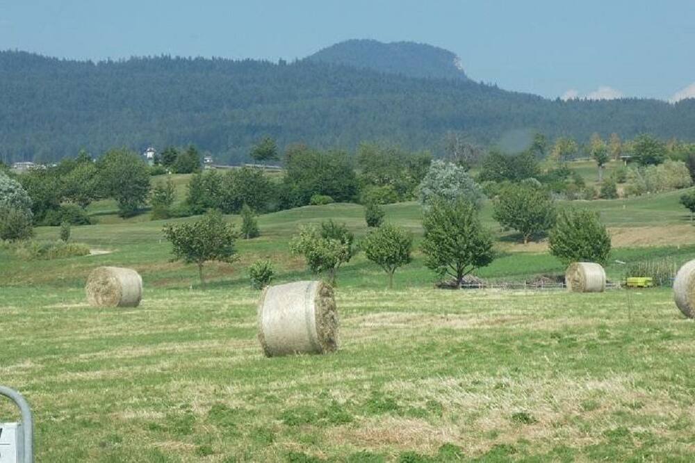 Photo of Outdoor in Fondo